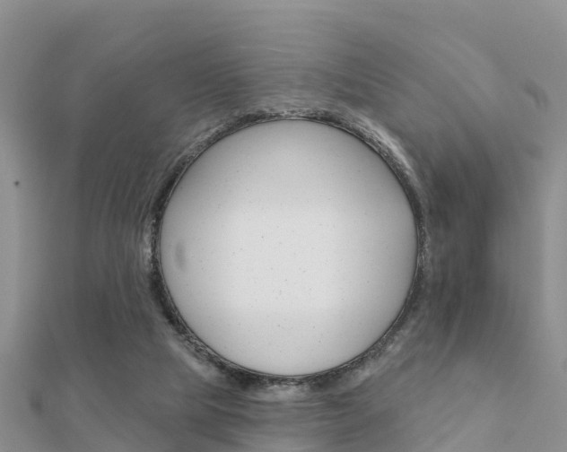X0000112430065200908141120