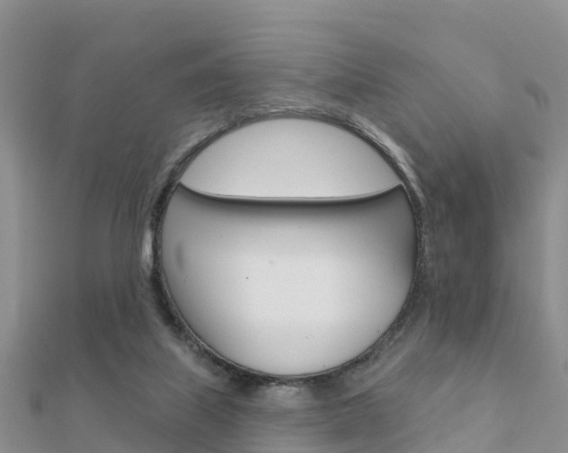X0000112430067200908141120