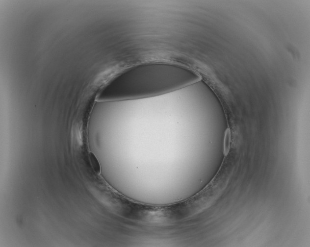 X0000112430068200908141120