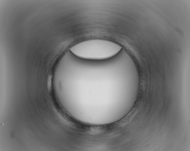 X0000112430070200908141120