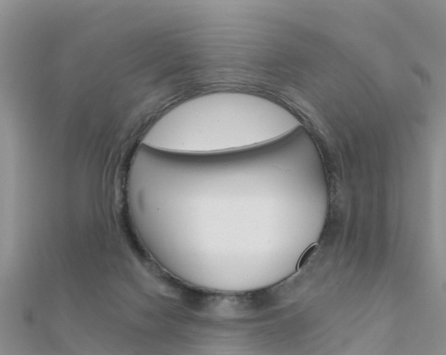 X0000112430074200908141120