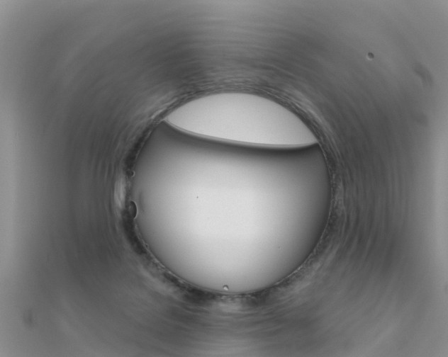 X0000112430076200908141121