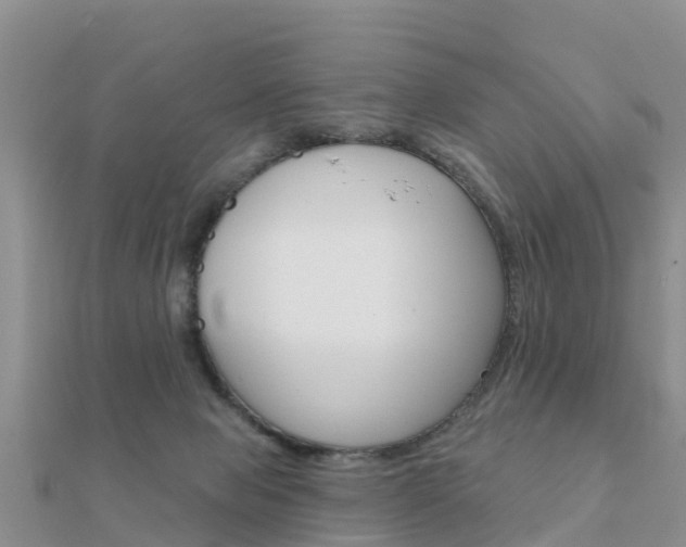 X0000112430077200908141121