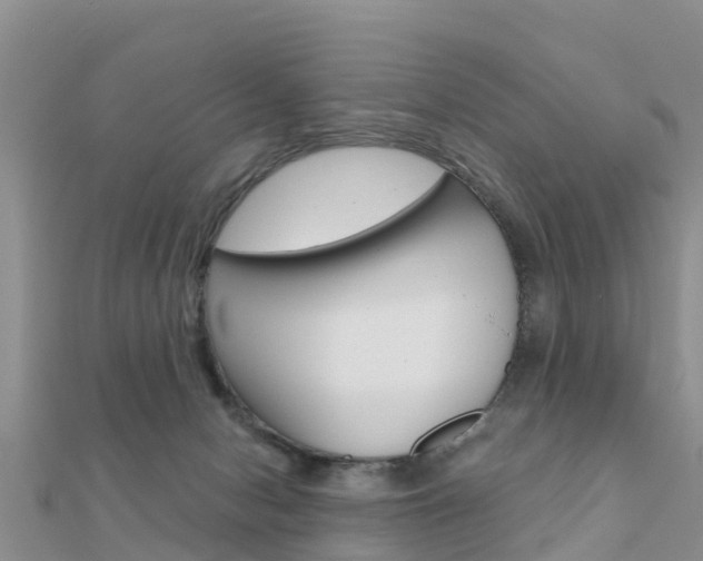 X0000112430078200908141121