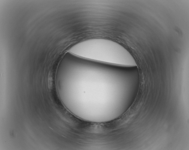 X0000112430080200908141121