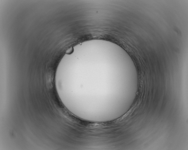 X0000112430082200908141121