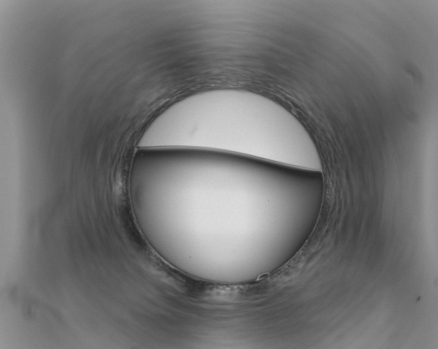 X0000112430084200908141121