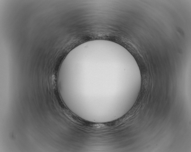 X0000112430087200908141121