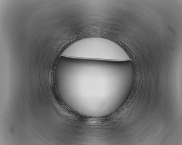 X0000112430088200908141121