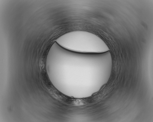 X0000112430091200908141121