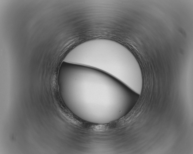 X0000112430092200908141121