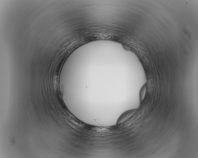 X0000112430093200908141121