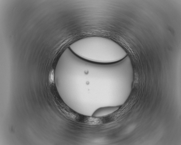 X0000112430095200908141121