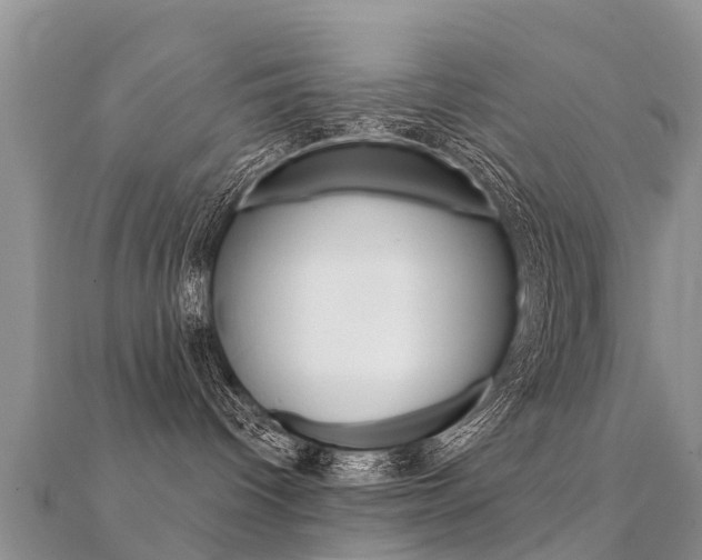 X0000112430096200908141121