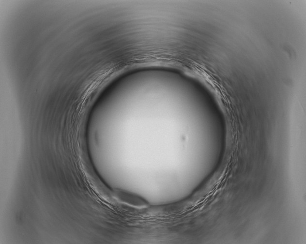X0000112430097200908141120