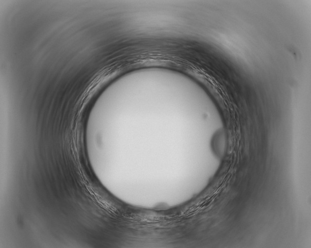 X0000112430098200908141120