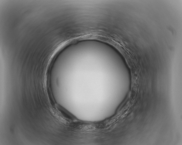 X0000112430100200908141120