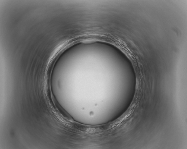 X0000112430101200908141120