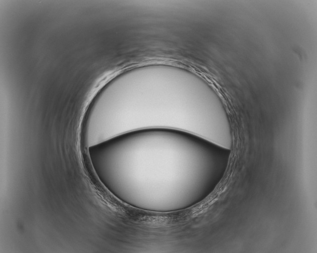 X0000112430104200908141120