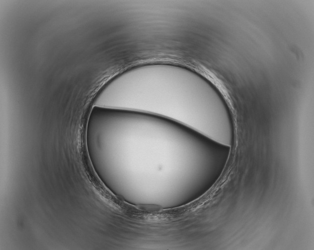 X0000112430105200908141120
