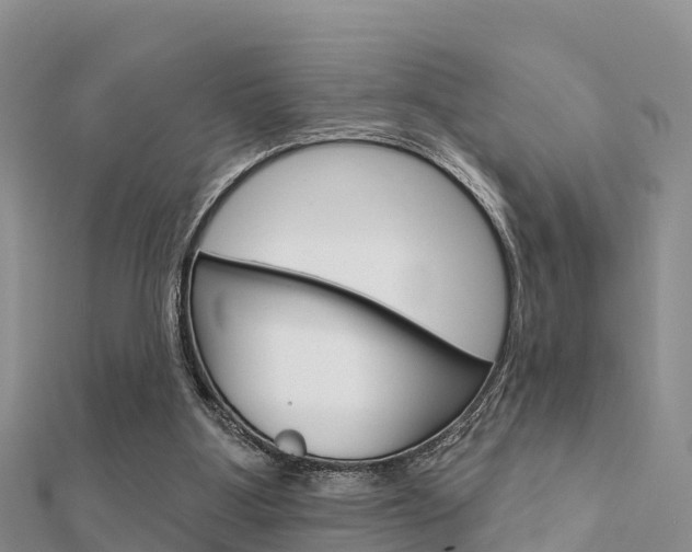 X0000112430107200908141120