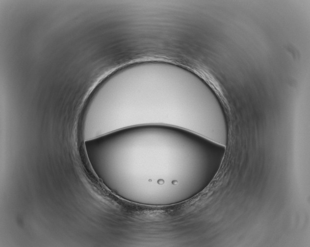 X0000112430108200908141120