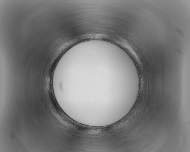 X0000112430110200908141120