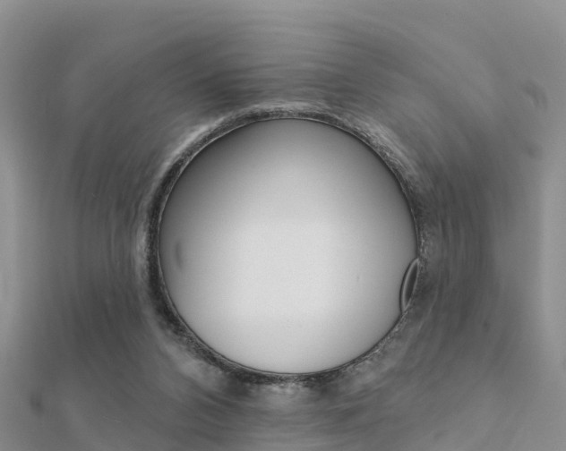 X0000112430112200908141120