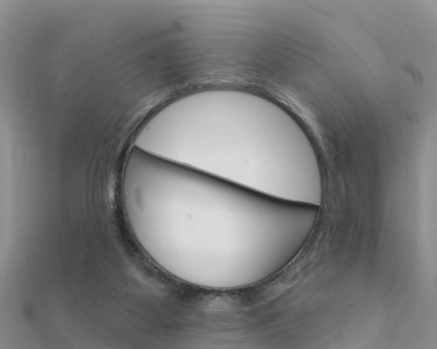 X0000112430115200908141120