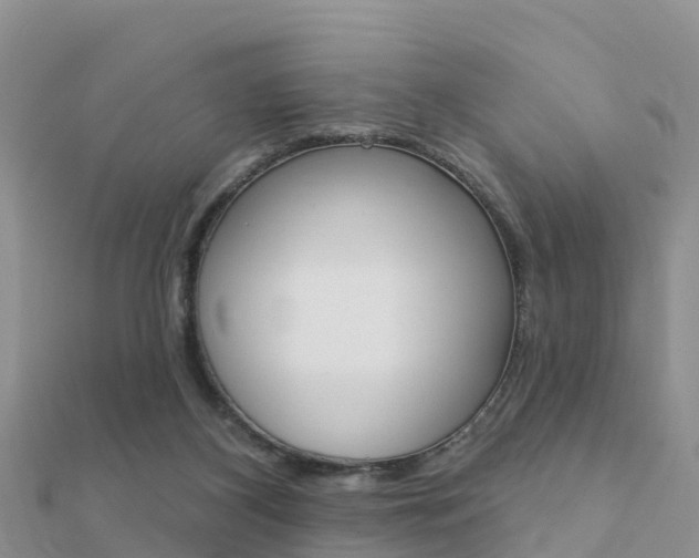 X0000112430116200908141120