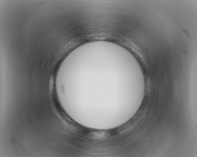 X0000112430118200908141120
