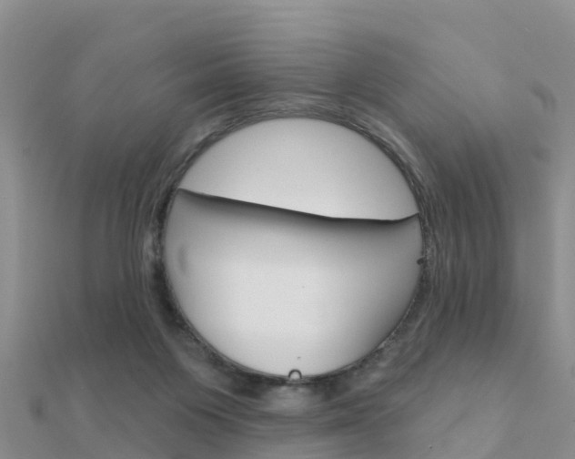 X0000112430119200908141120