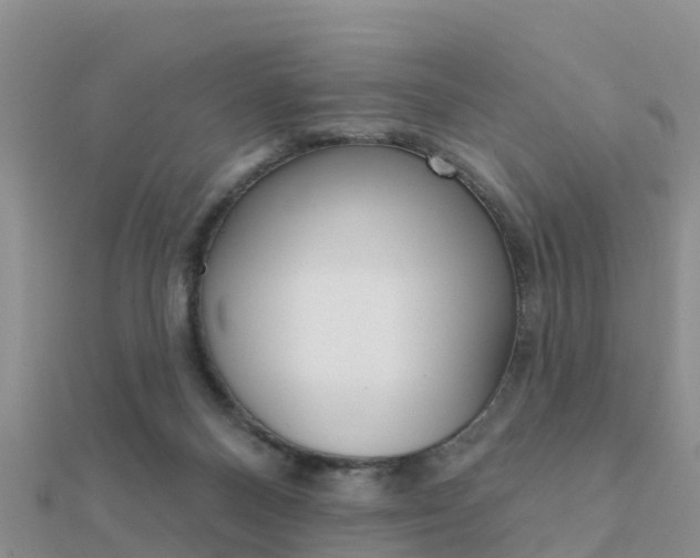 X0000112430120200908141120