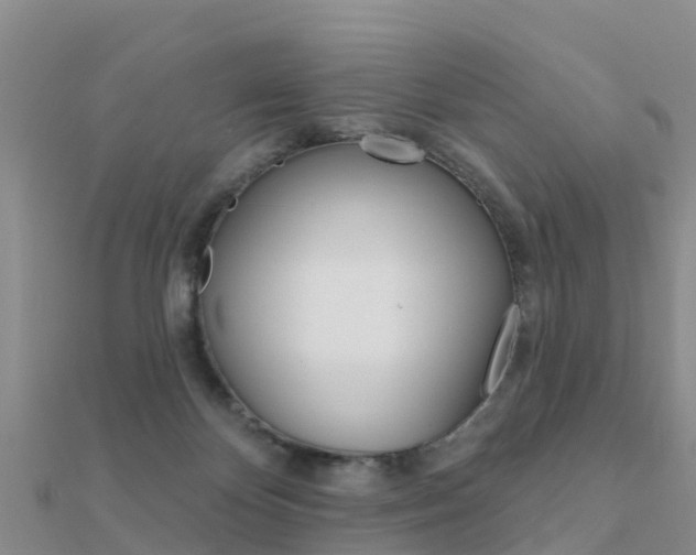 X0000112430124200908141120