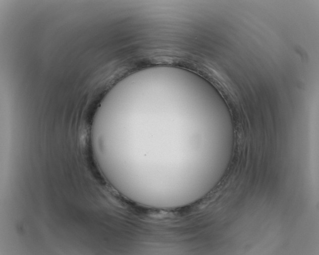 X0000112430125200908141120