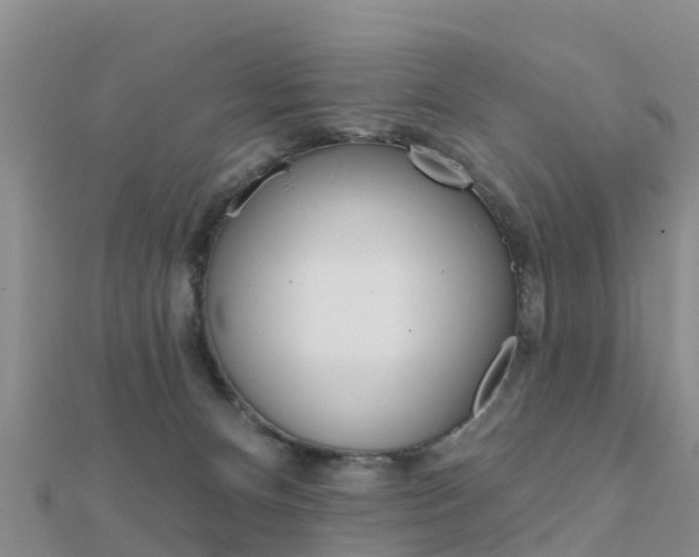 X0000112430128200908141120