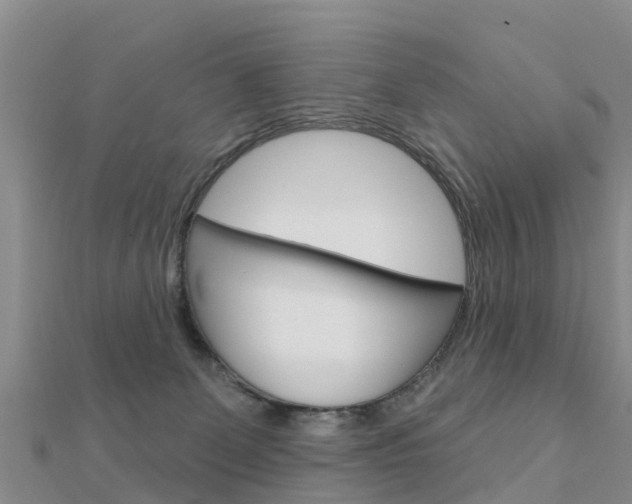 X0000112430131200908141120