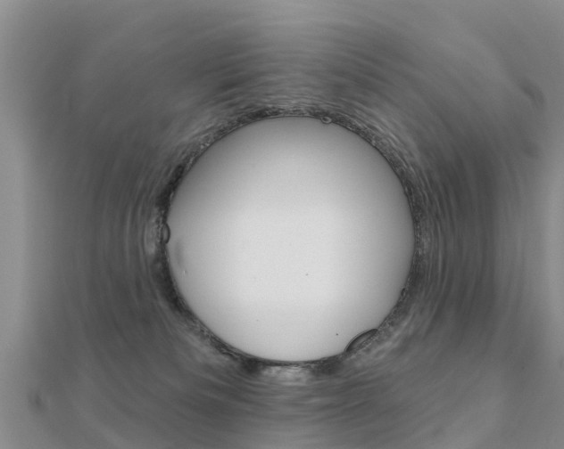 X0000112430133200908141120