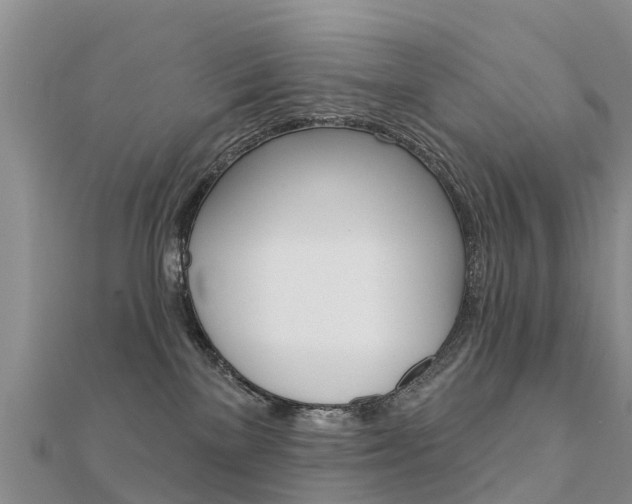 X0000112430137200908141120