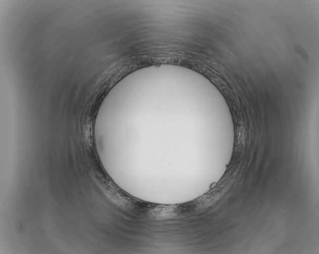 X0000112430138200908141120