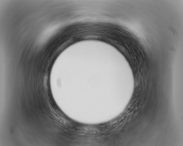 X0000112430146200908141119