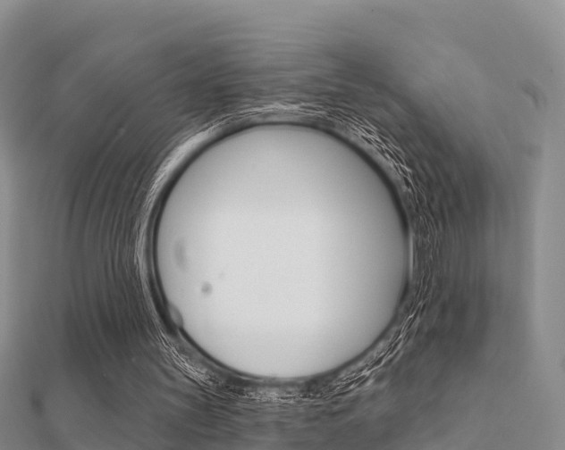 X0000112430147200908141119