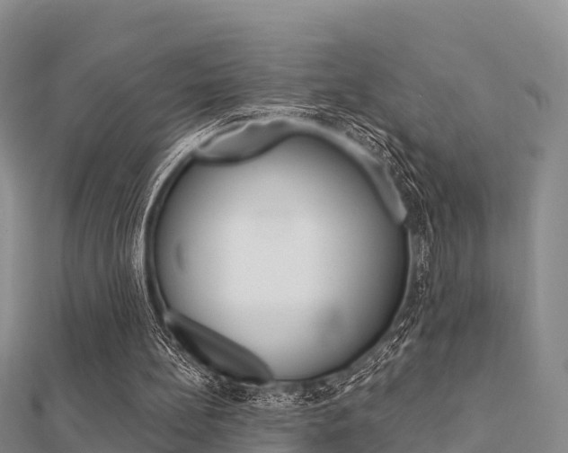 X0000112430148200908141119