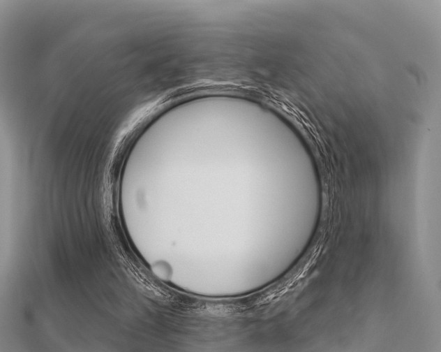 X0000112430149200908141119