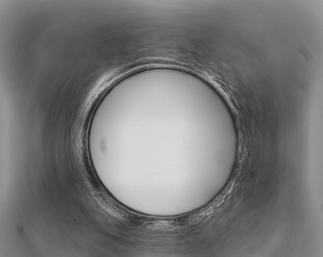X0000112430151200908141119
