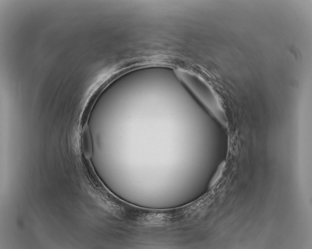 X0000112430152200908141119
