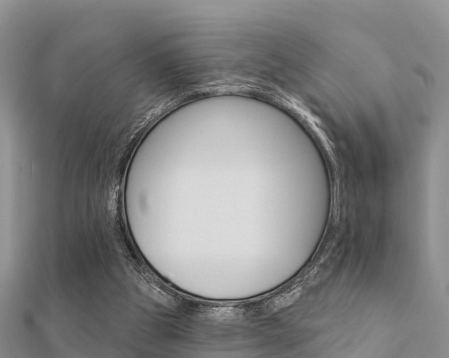 X0000112430153200908141119