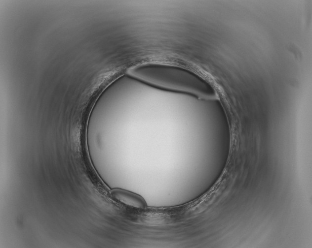X0000112430154200908141119