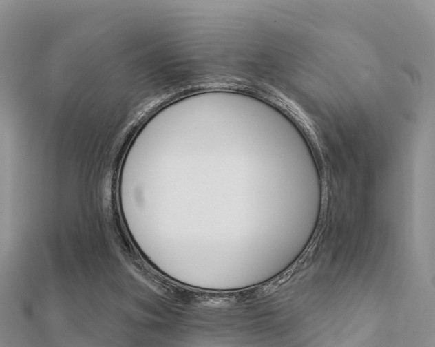 X0000112430155200908141119