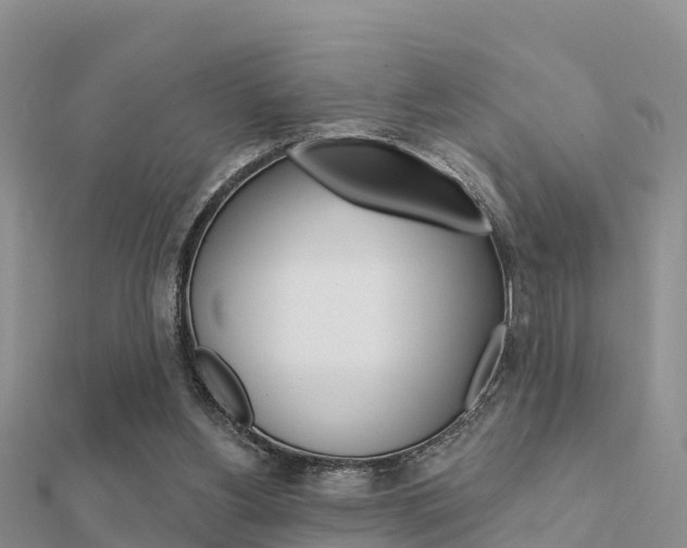 X0000112430156200908141119